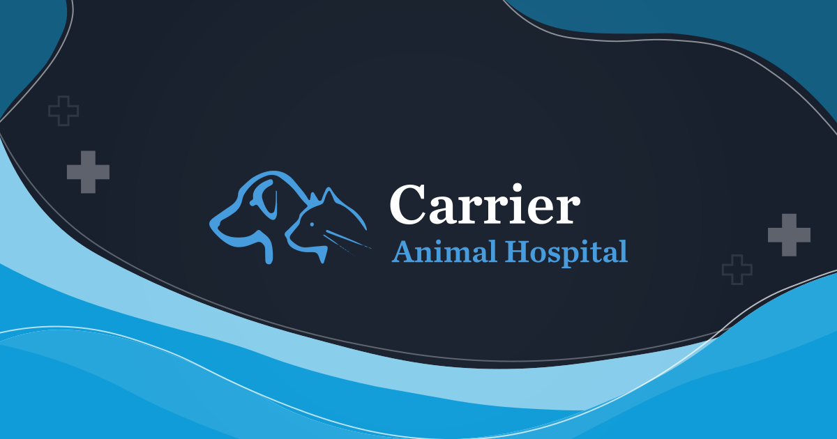 Patient Forms | Carrier Animal Hospital | Grand Prairie Vet