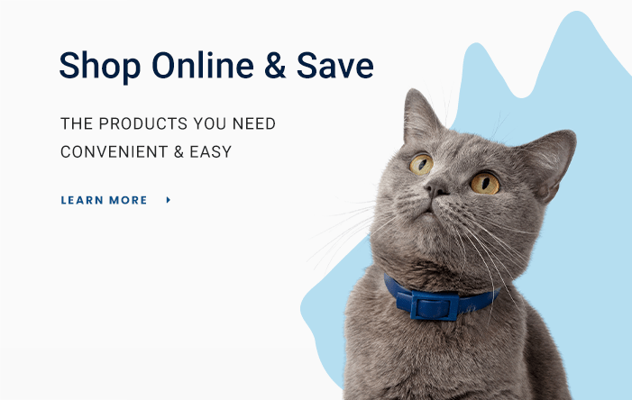 Shop for Pet Products Online